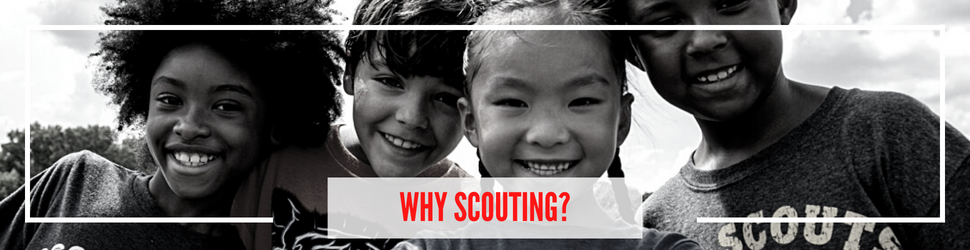 Why scouting 2