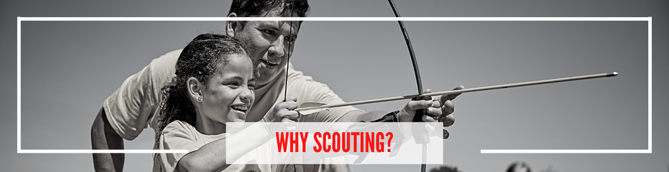 Why scouting