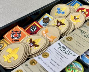 A tray of badges, comprising of different ranks for Cubs and Scouts BSA